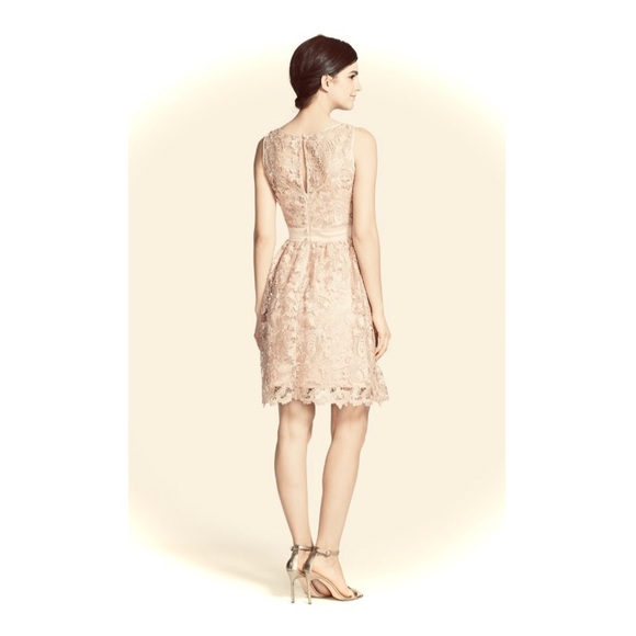 Adrianna Papell lace fit and flare sleeveless cocktail dress - Picture 3 of 10